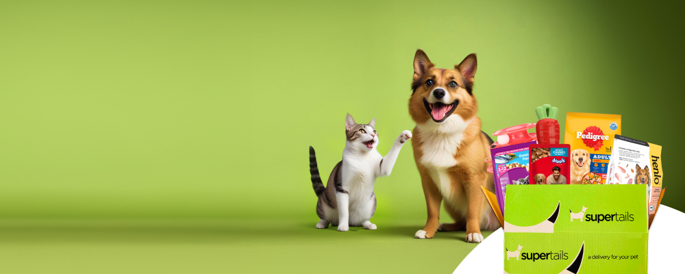 Partnering with the next wave of digital first Indian brands – RPSG Capital Ventures